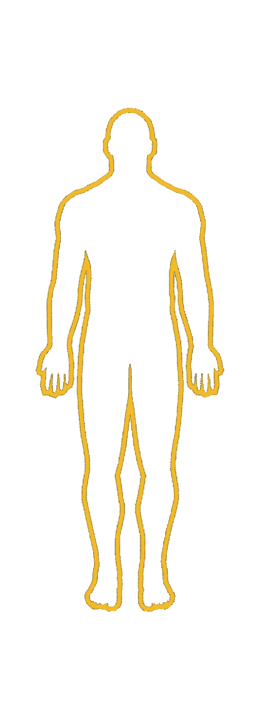 Outline of a human figure standing