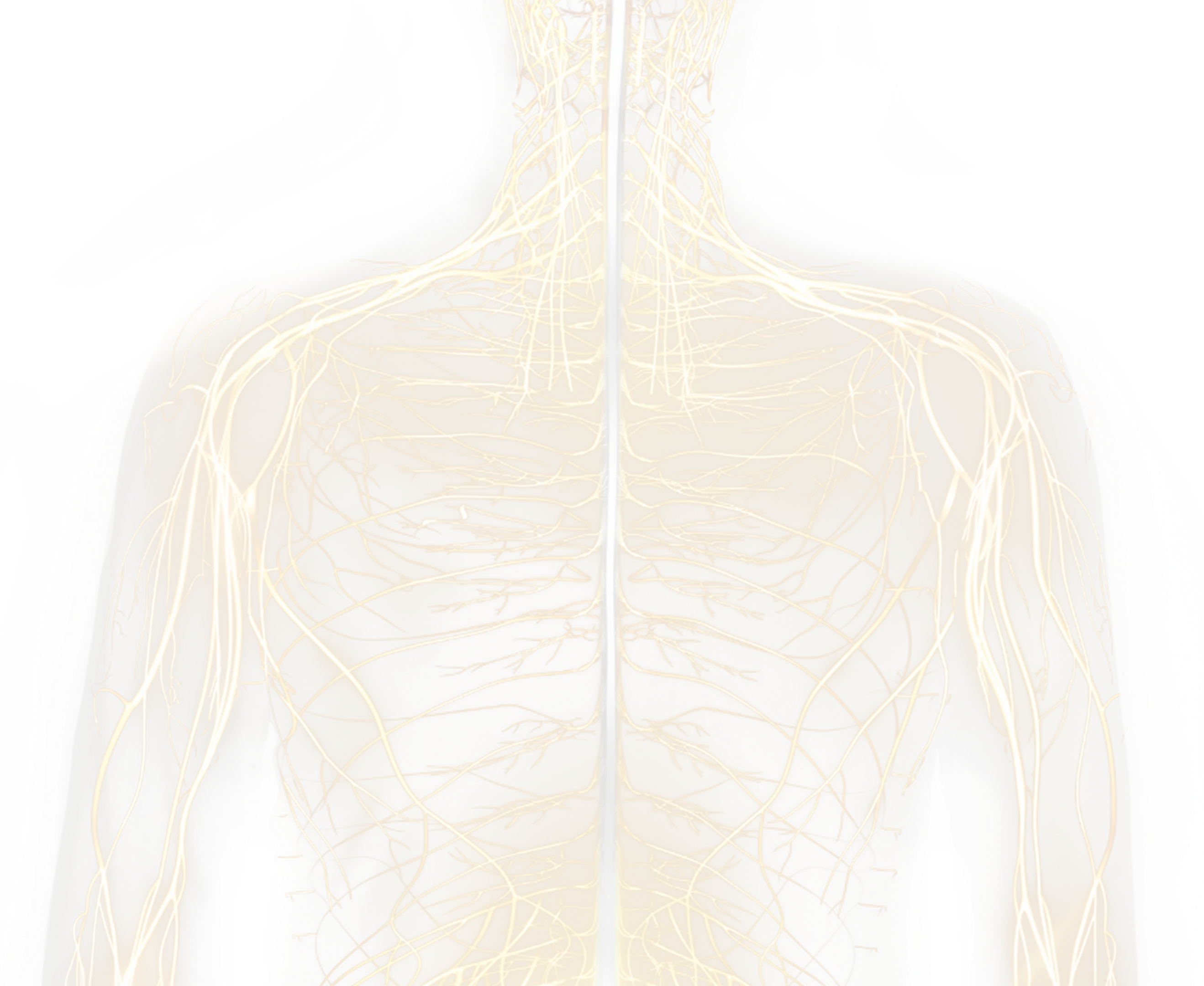 Illustration of norepinephrine release at a nerve synapse